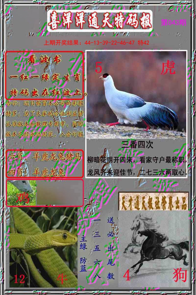 043期洋通报[图]