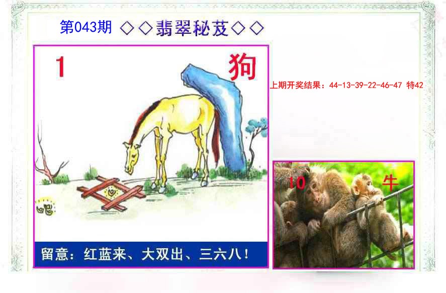 043期翡翠报[图]