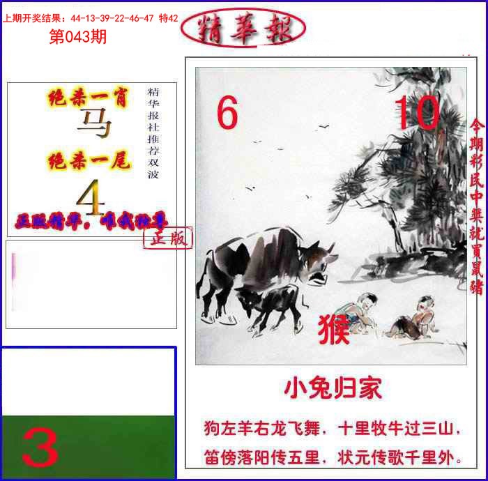 043期新精华报报[图]