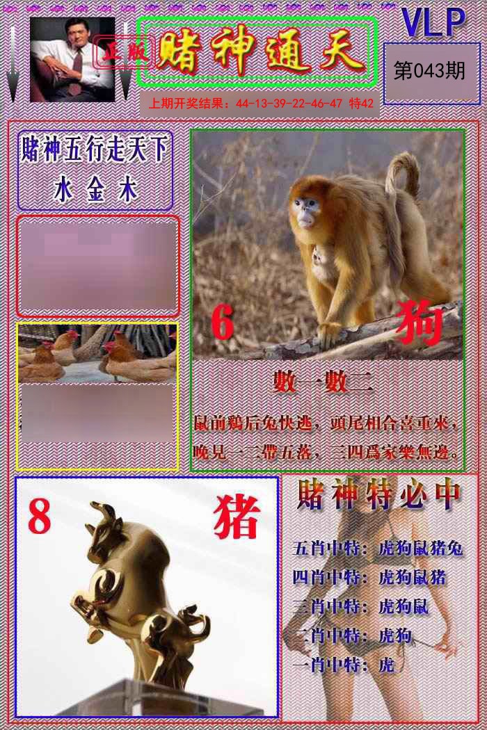 043期赌神通天报[图]