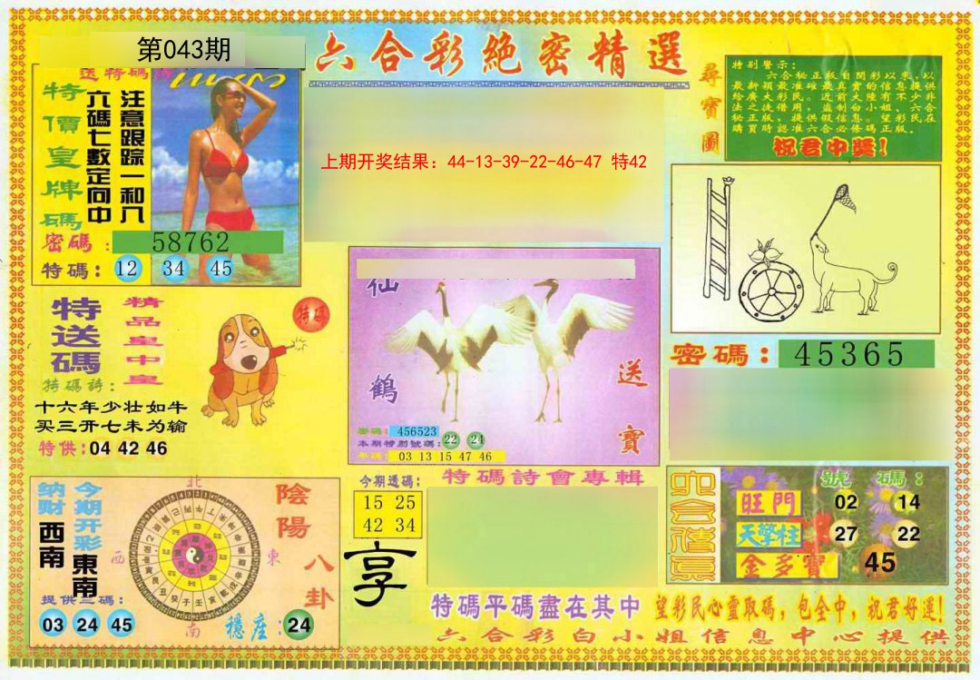 043期绝密精选A[图]