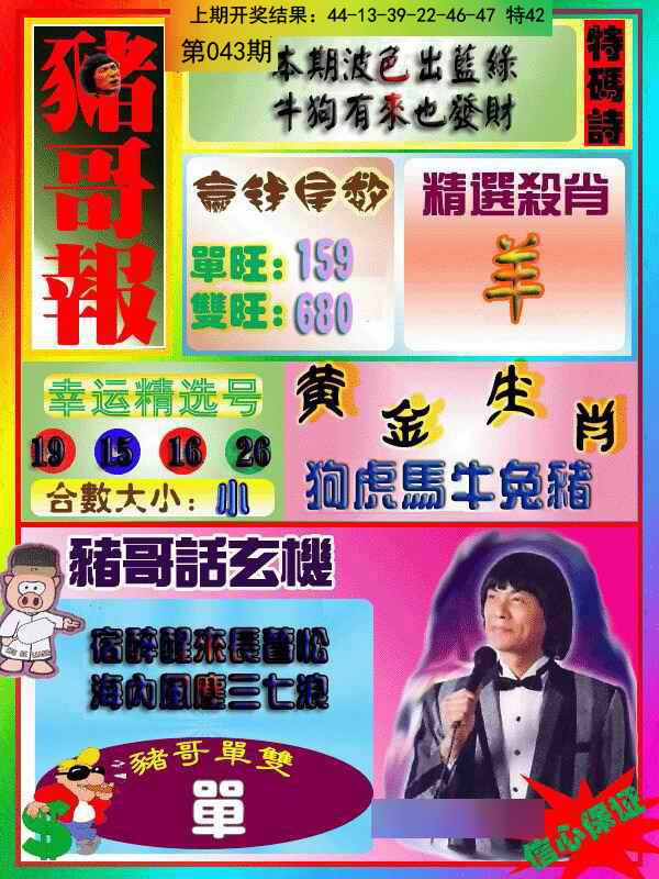 043期猪哥报[图]