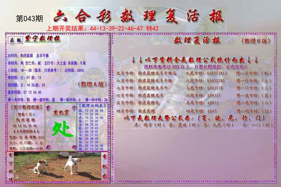 043期数理复活报[图]