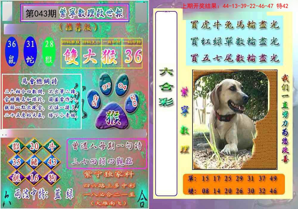 043期数理救世报[图]