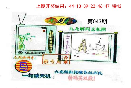 043期九龙报[图]