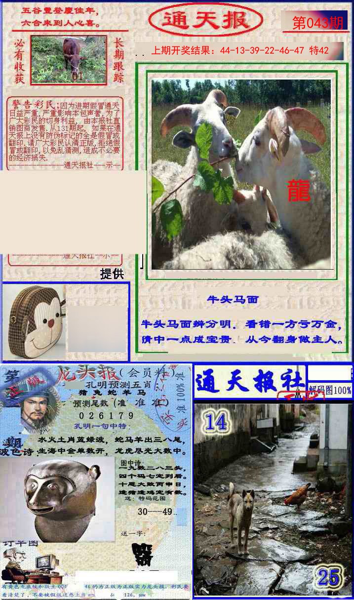 043期实力通天报[图]