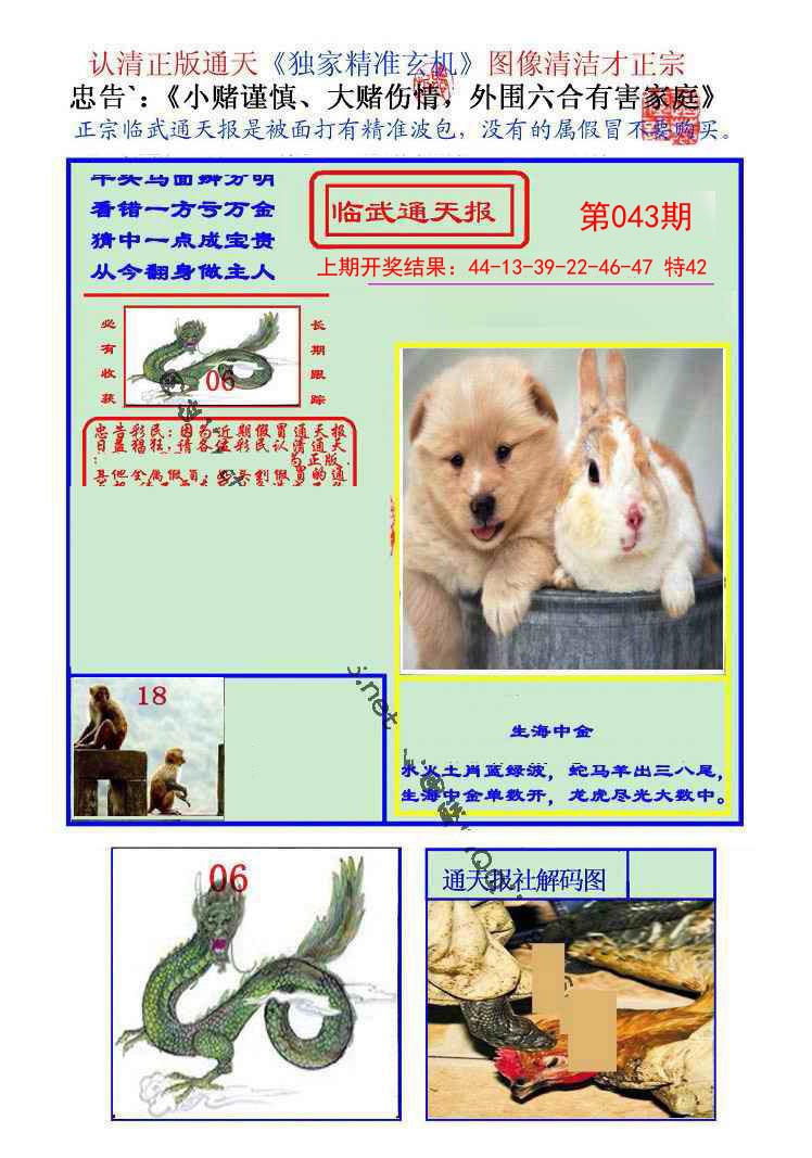 043期临武通天报[图]