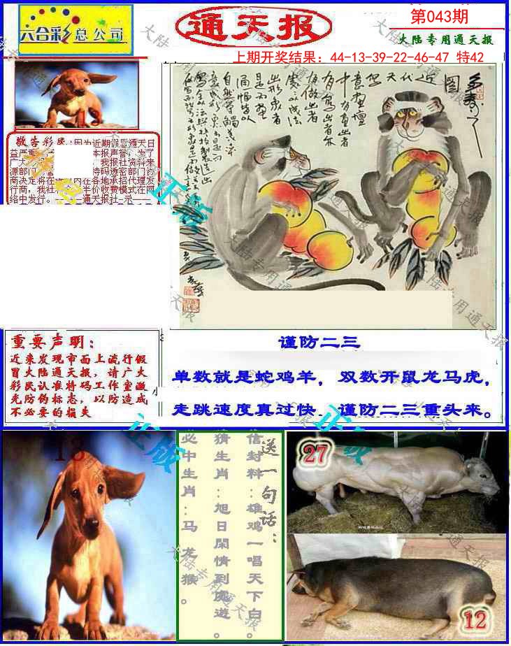 043期大陆通天报[图]
