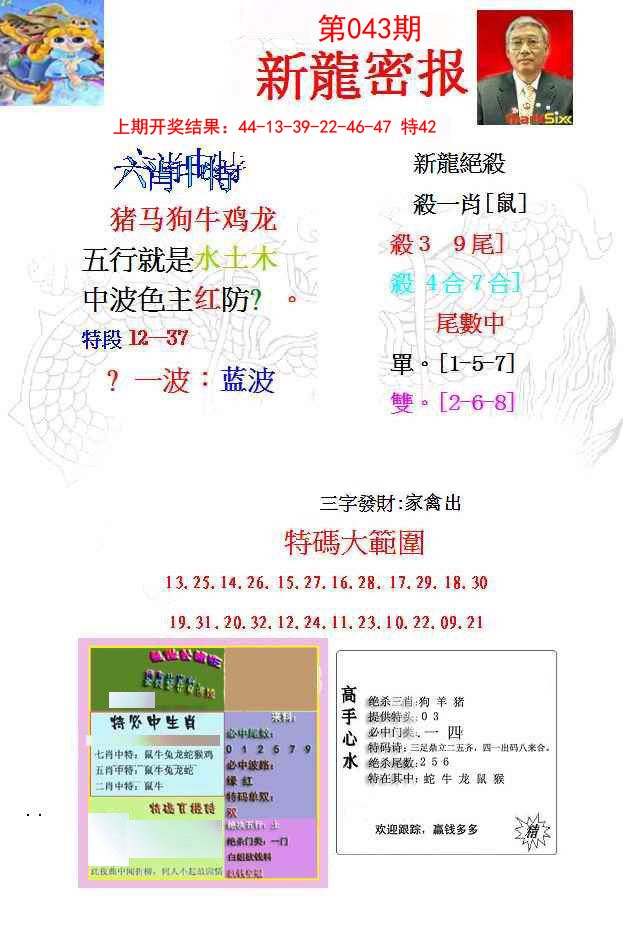 043期新龙密报[图]