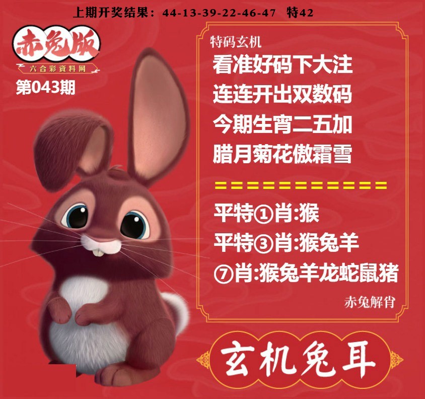 043期玄机兔耳[图]