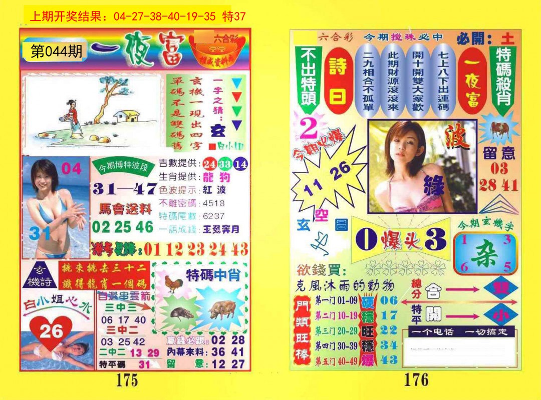 044期一夜富[图]