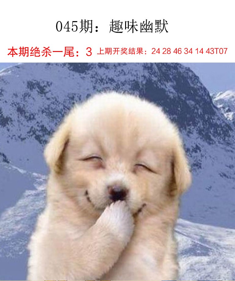 045期趣味幽默[图]