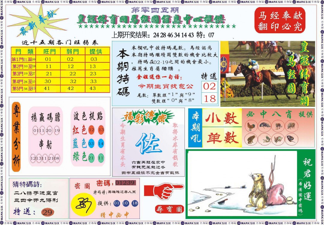 045期体育网马经图[图]
