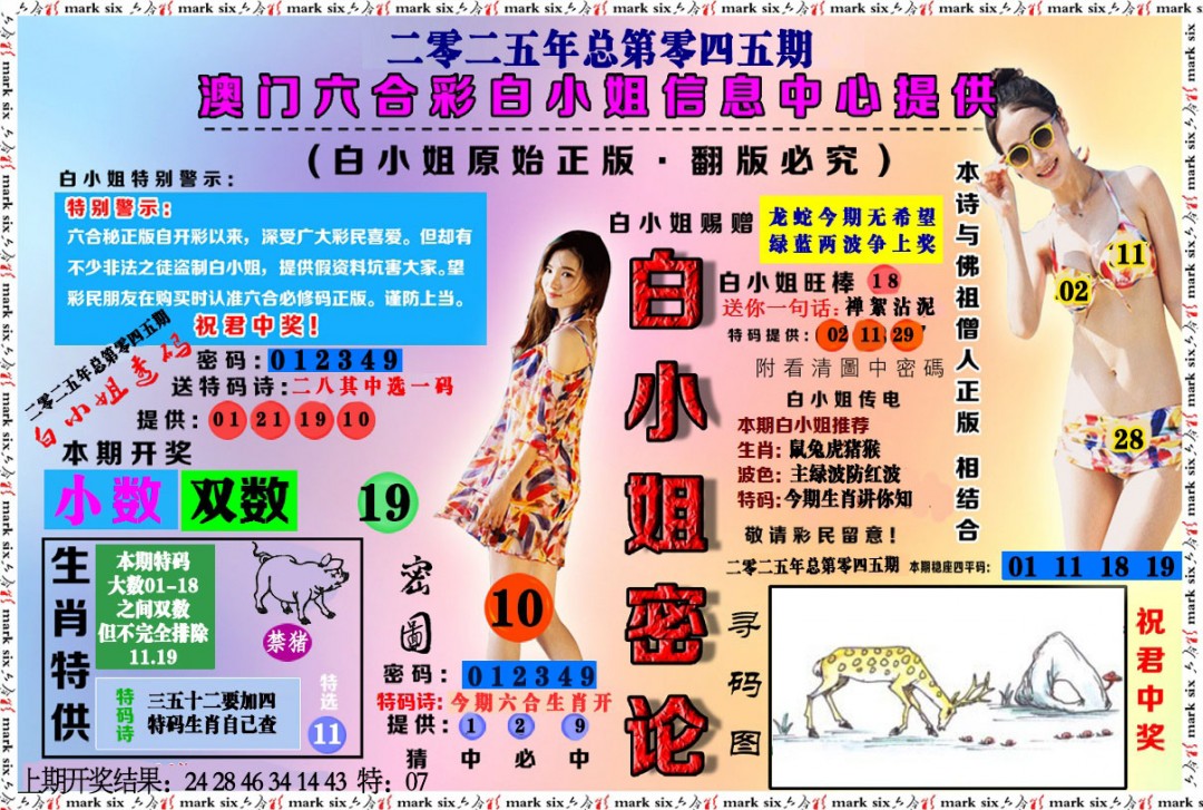 045期白小姐密论[图]