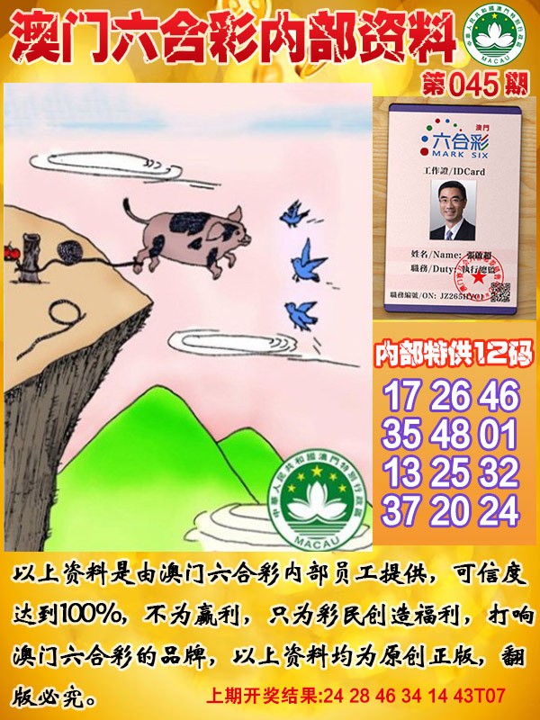 045期六合内部资料[图]