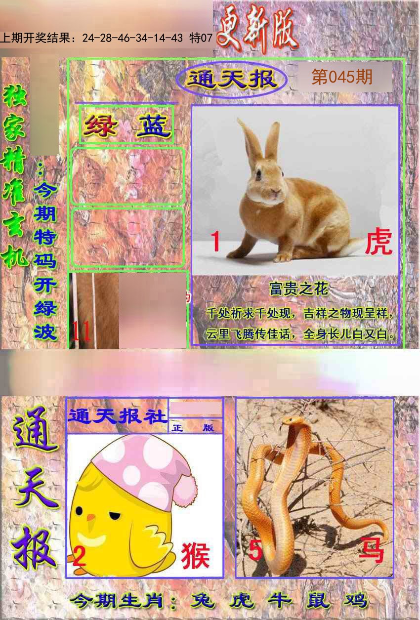 045期新通报[图]