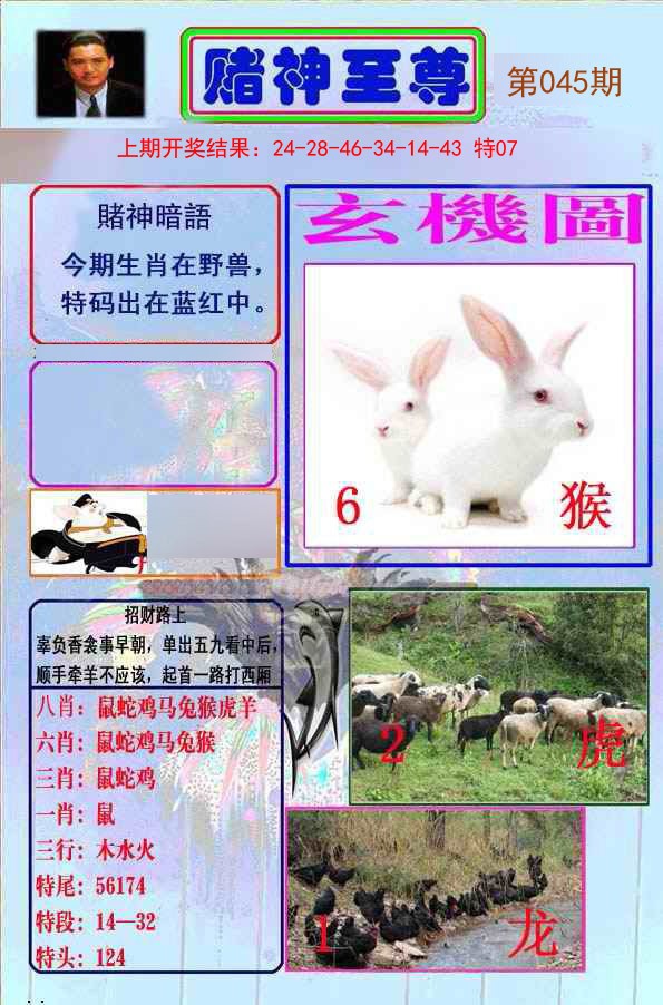 045期赌神至尊[图]