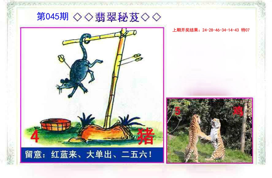 045期翡翠报[图]