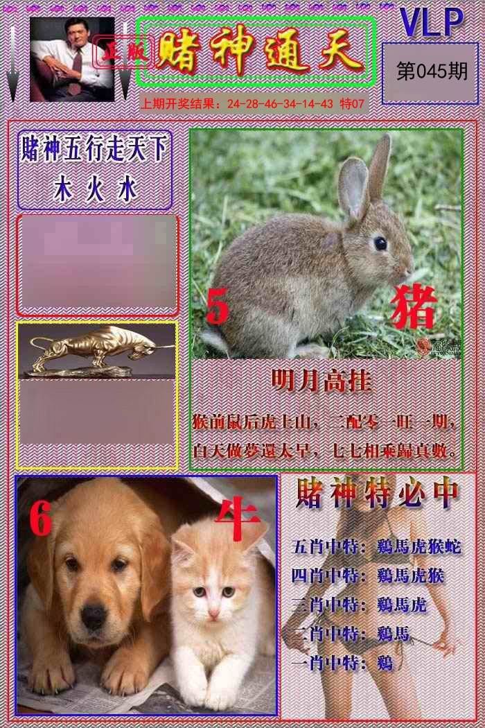 045期赌神通天报[图]