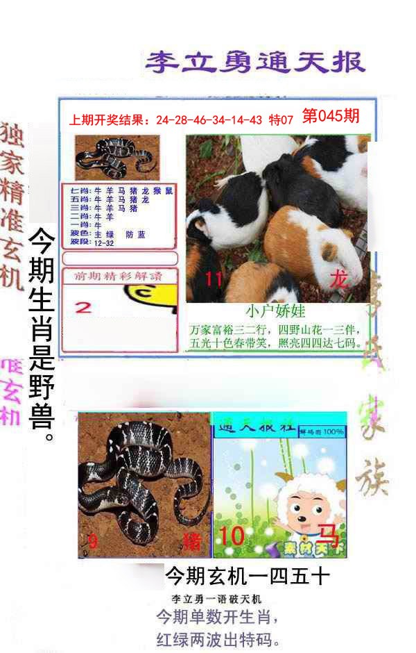 045期李立勇通天报[图]