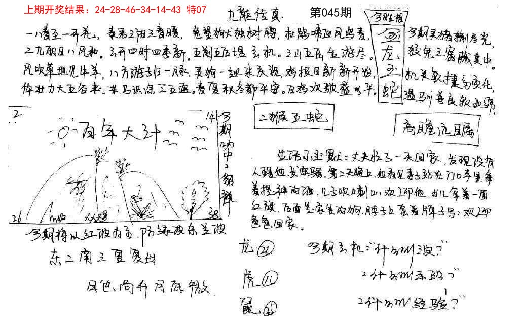 045期手写九龙内幕[图]