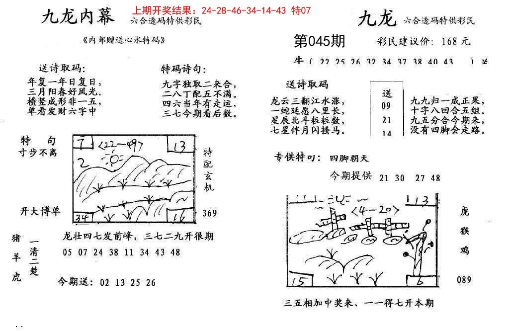 045期九龙内幕[图]