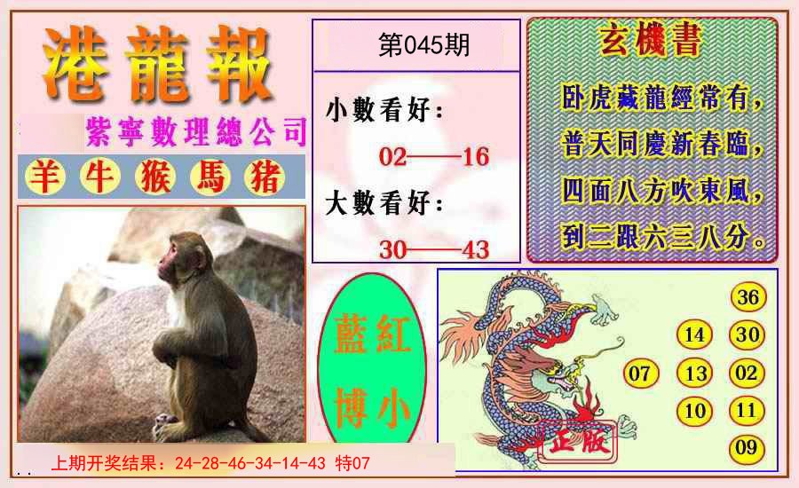 045期港龙报[图]