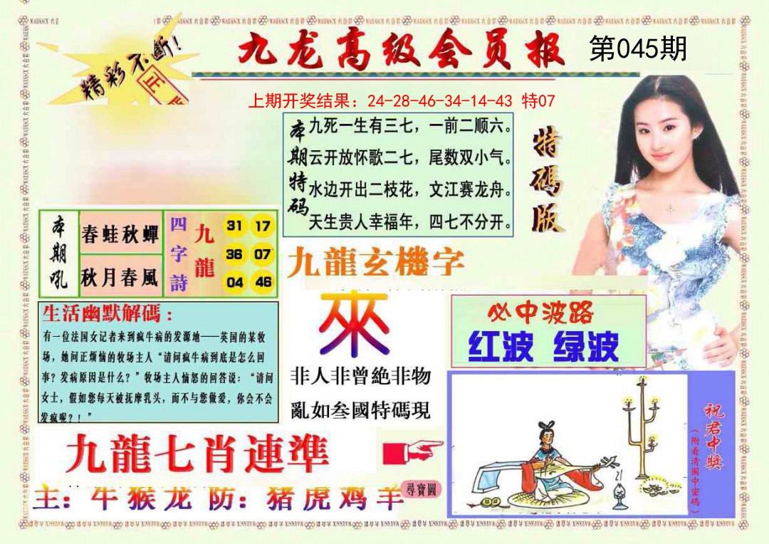 045期九龙高级会员报[图]