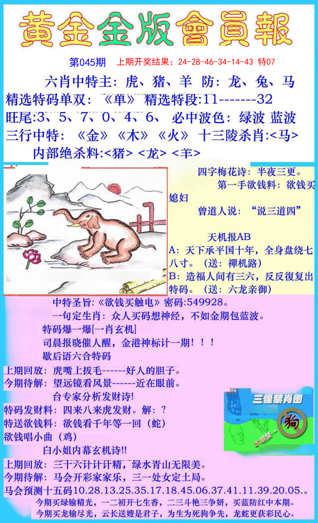 045期黄金金版会员报[图]