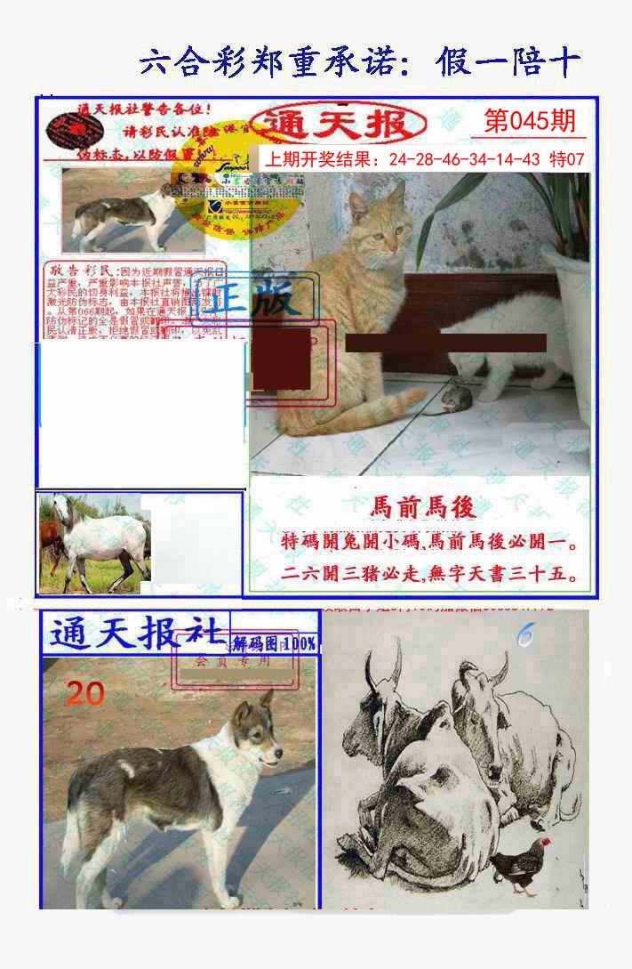 045期假一陪十通天报[图]