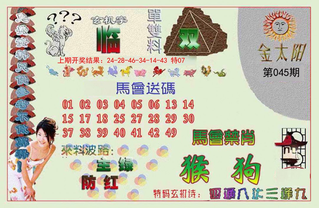 045期金太阳[图]