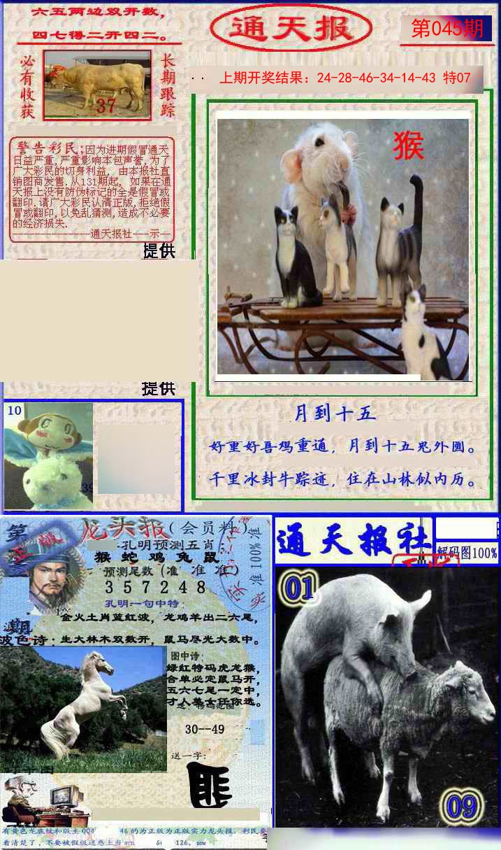 045期实力通天报[图]