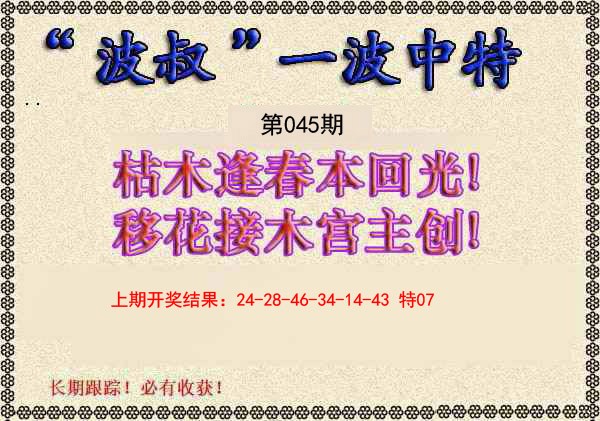 045期波叔一波中特[图]