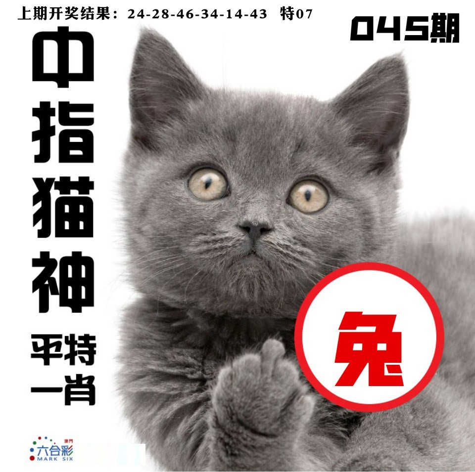 045期中指猫神[图]