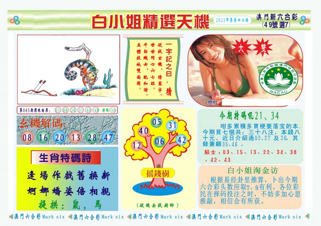 046期白小姐精选玄机A[图]