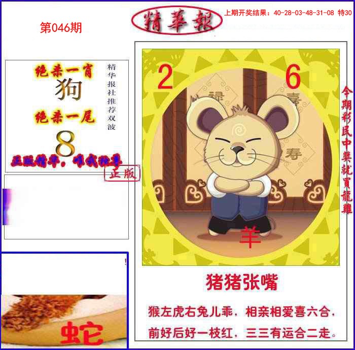 046期新精华报报[图]
