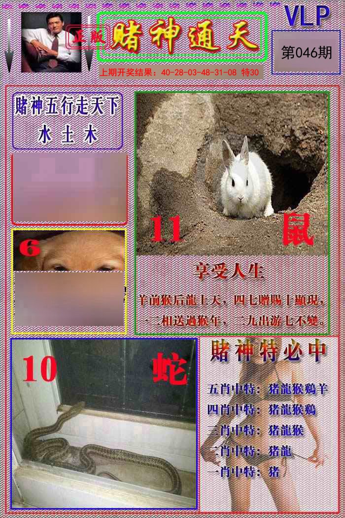 046期赌神通天报[图]
