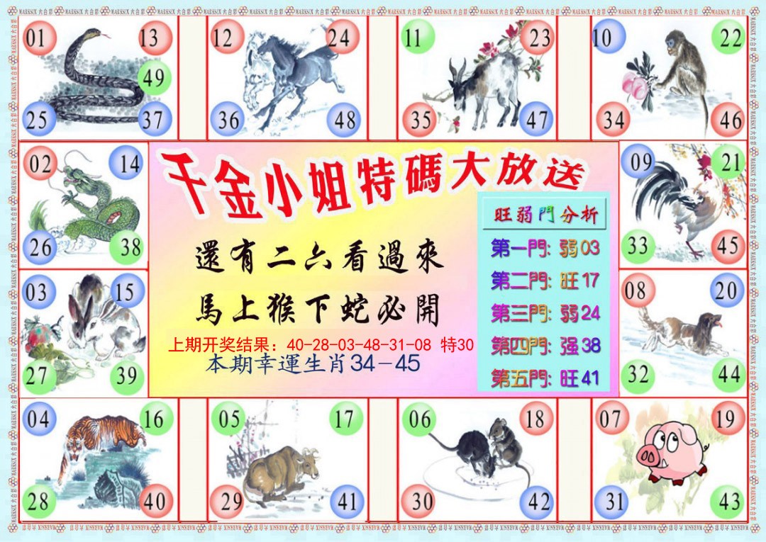 046期千金小姐B版[图]