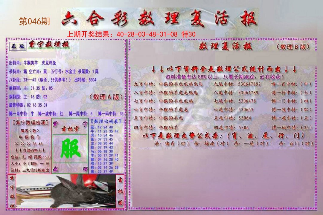046期数理复活报[图]
