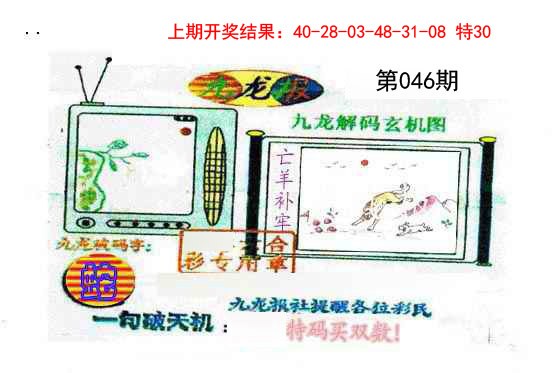 046期九龙报[图]