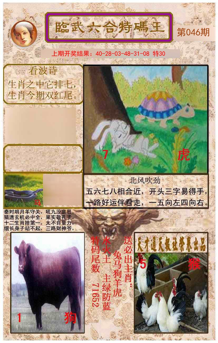 046期临武六合特码王[图]