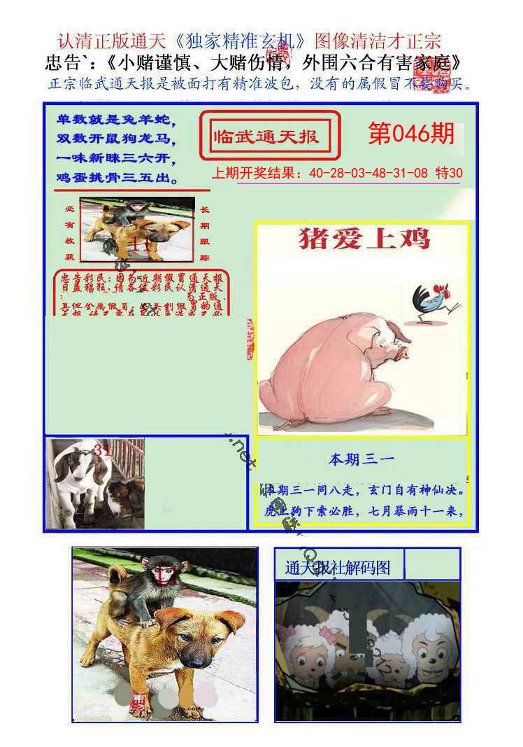 046期临武通天报[图]