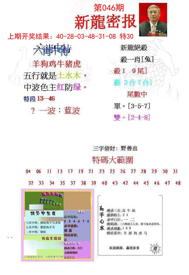 046期新龙密报[图]