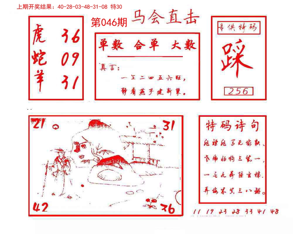 046期马会直击[图]