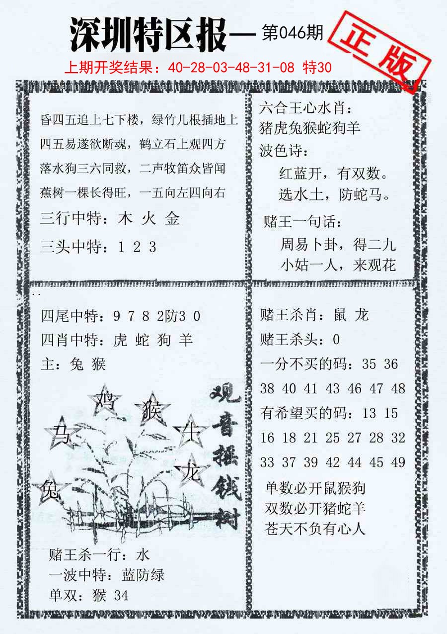 046期深圳特区报A[图]