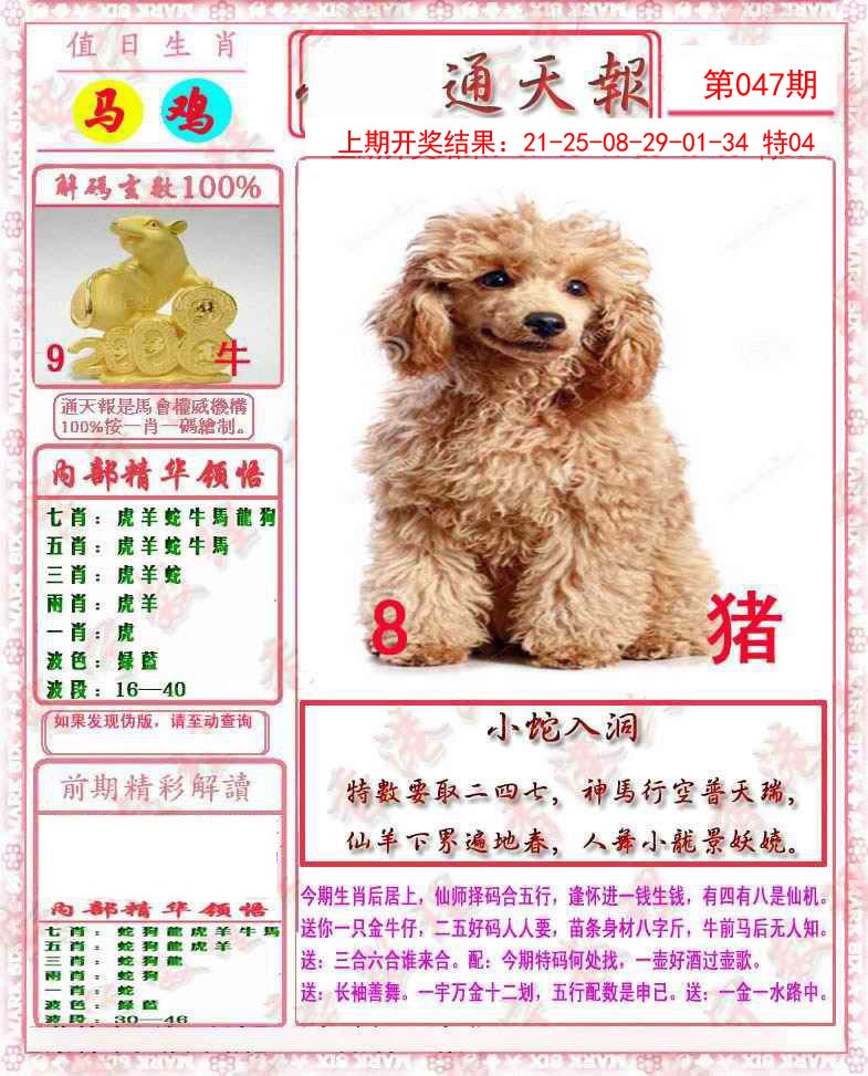 047期马经通天报[图]