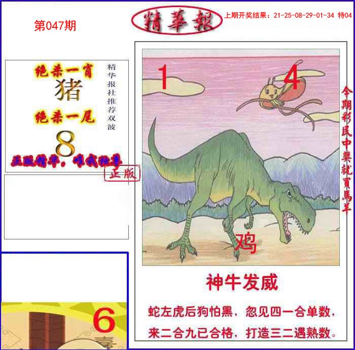 047期新精华报报[图]