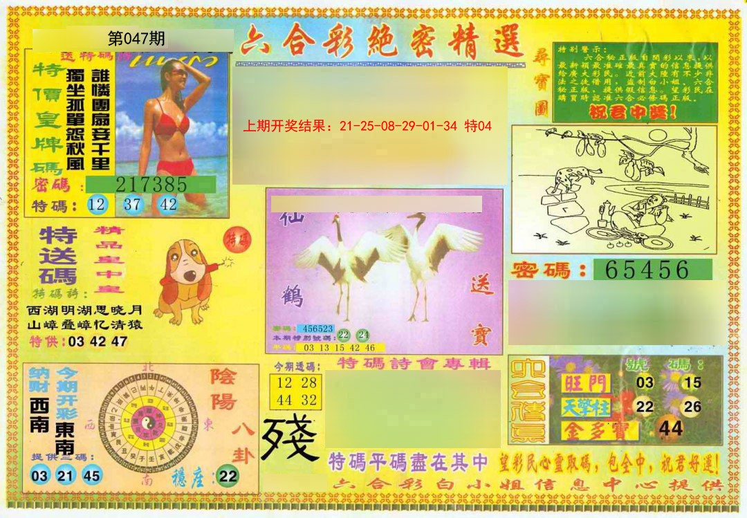 047期绝密精选A[图]