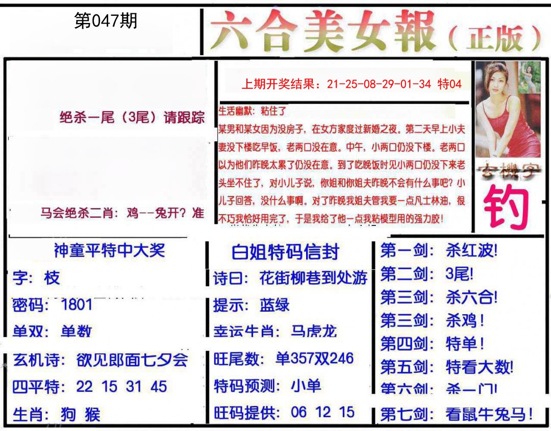 047期美女报[图]