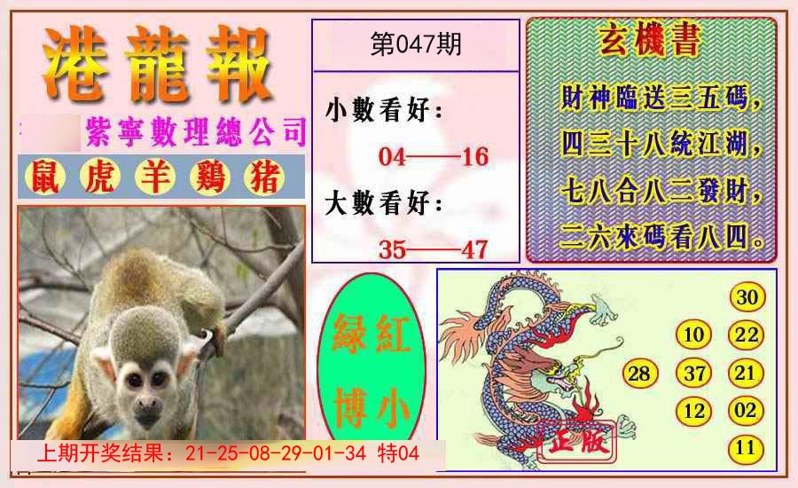 047期港龙报[图]